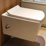 توالت فرنگی والهنگ آرمیتاژ مدل آماندا