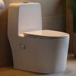 توالت فرنگی آرمیتاژ مدل آمیکا